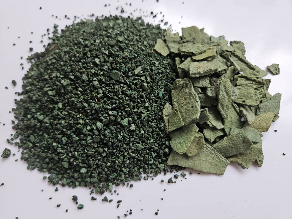 Spiruline en Poudre