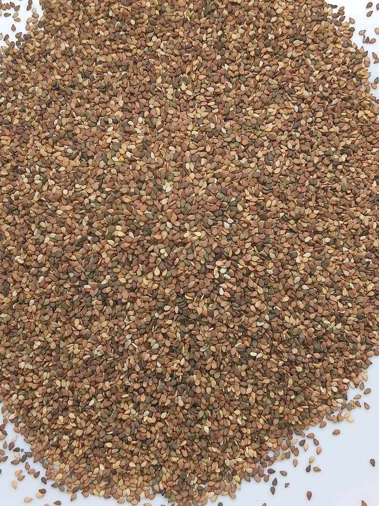 Graines de Sésame Blanc du Tchad