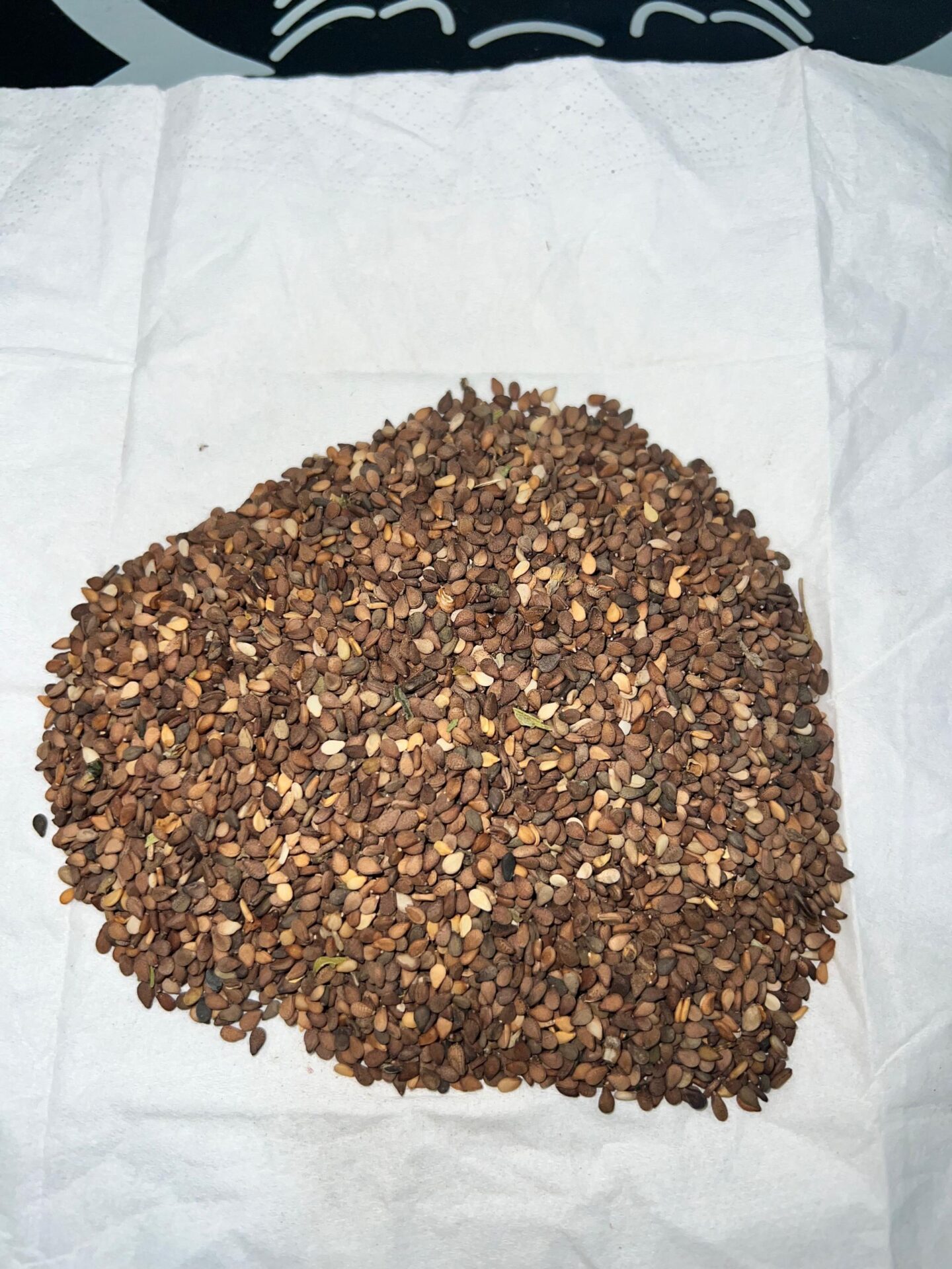 Tchad Agri Sourcing — photo 2